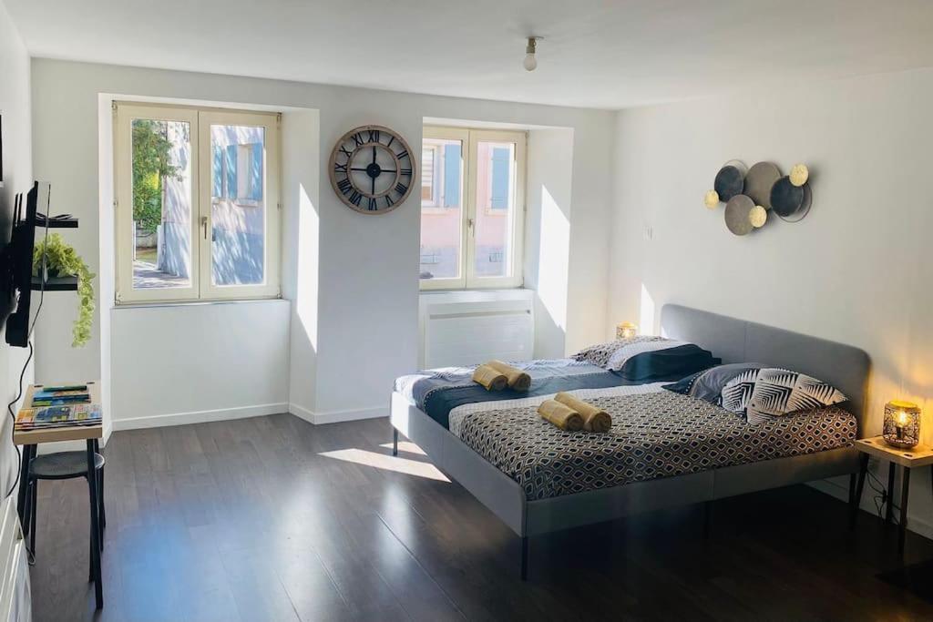Apartamento Au Petit Cocon De Coco Guebwiller Exterior foto