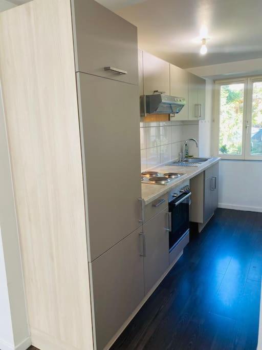 Apartamento Au Petit Cocon De Coco Guebwiller Exterior foto